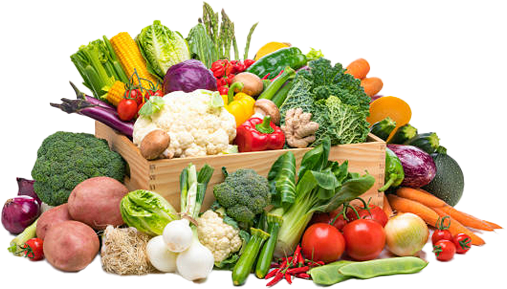 Our project enhances food security, promotes social inclusion, creates training opportunities, and supports small business growth. This has a wide-reaching impact on our community.