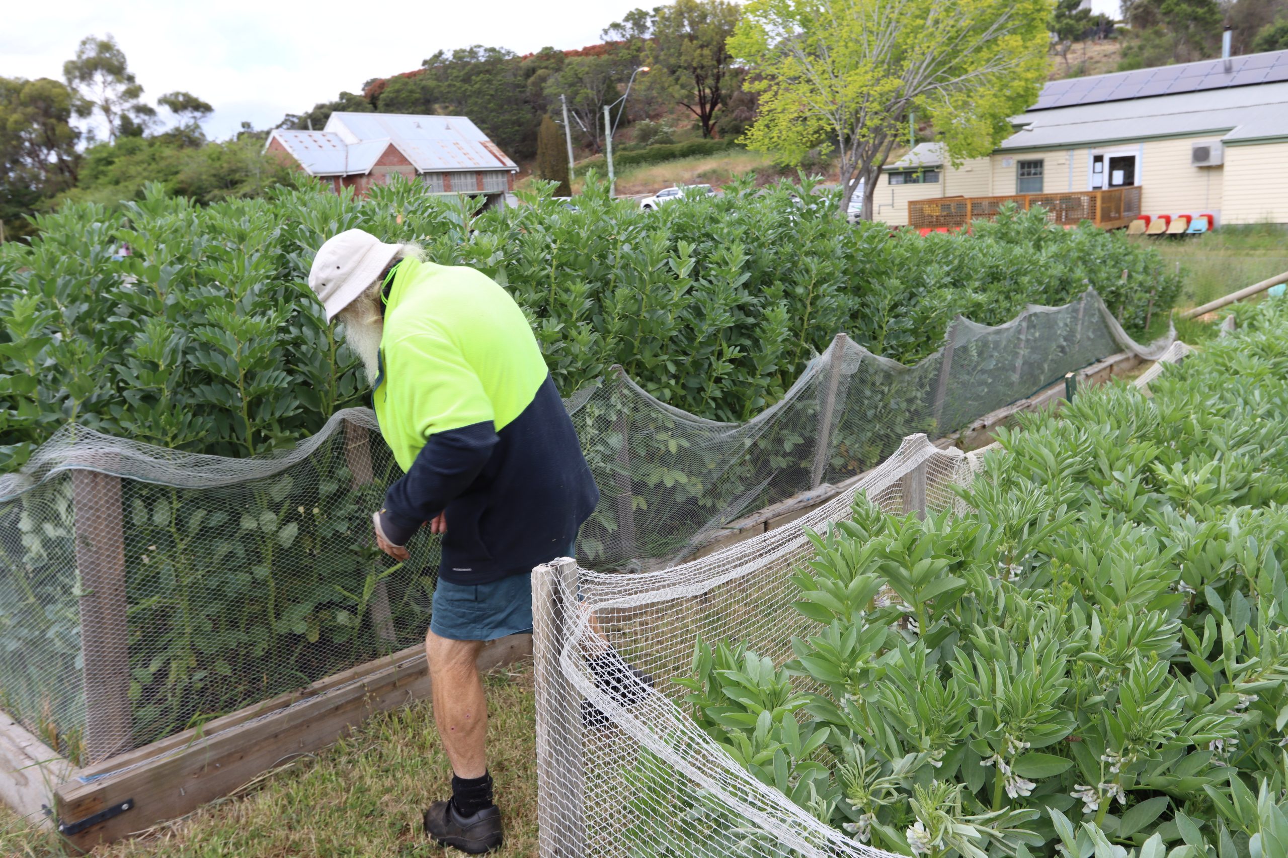 Our community garden image 1